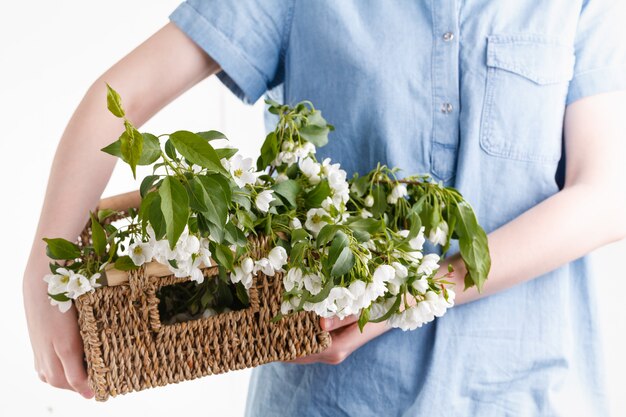 Woman hands holding apple blossom in her hands