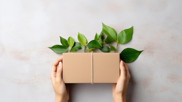 Woman hands holding card box from natural recyclable