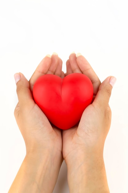 Woman hands holding heart figure made from red