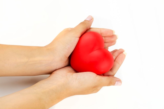 Woman hands holding heart figure made from red