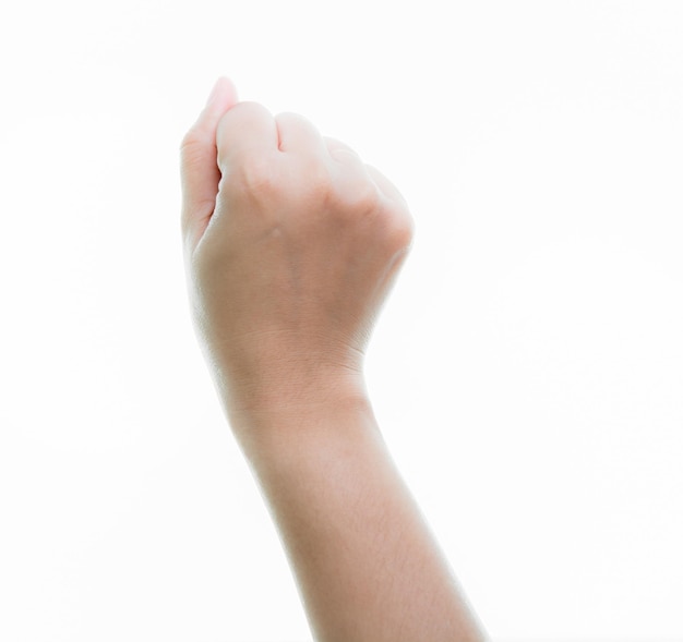 Woman hands holding isolate