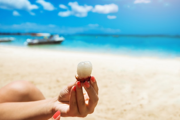 Mani della donna che tengono litchi. prugna cinese. frutta all'isola tropicale