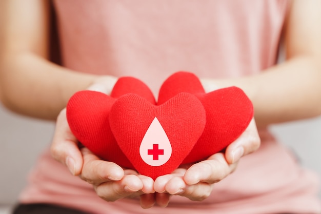 Mani della donna che tengono cuore rosso con il segno del donatore di sangue concetto di assistenza sanitaria, medicina e donazione di sangue