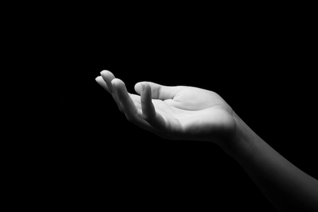 Woman hands palms up over black background