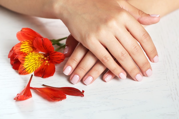 Woman hands with french manicure and flower on table