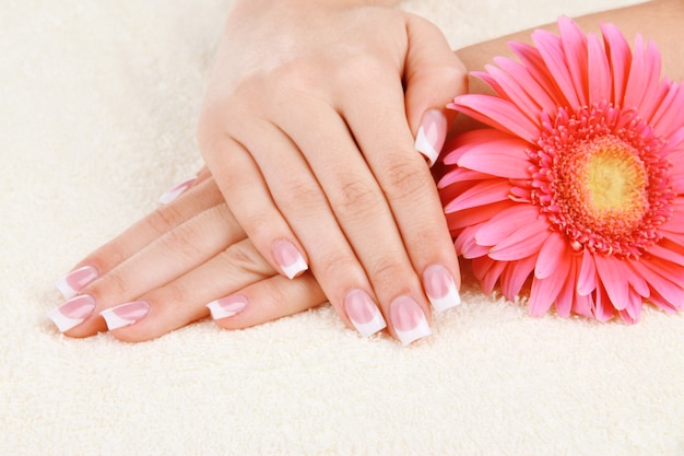 Mani della donna con french manicure e fiori sul tovagliolo