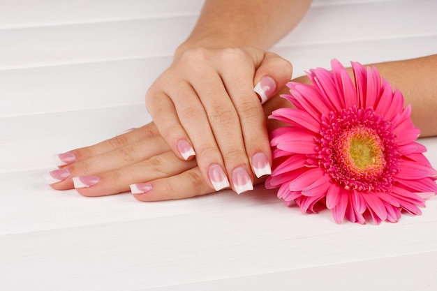 Mani della donna con french manicure e fiori su fondo di legno bianco