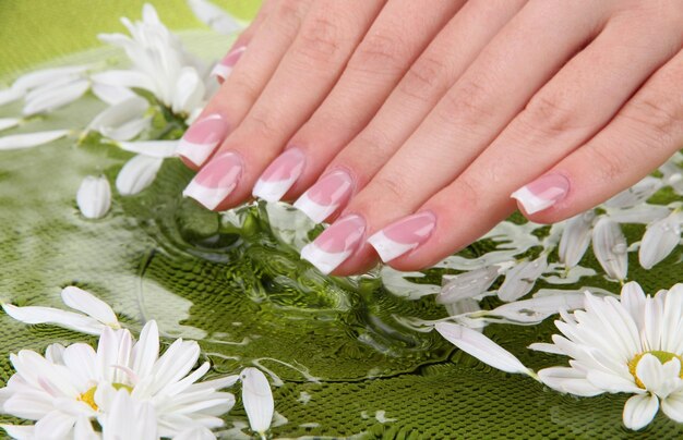 Woman hands with french manicure and flowers in green bowl with water