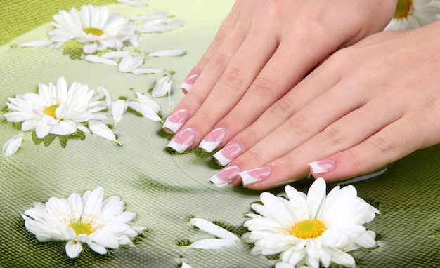 Mani di donna con french manicure e fiori in una ciotola verde con acqua