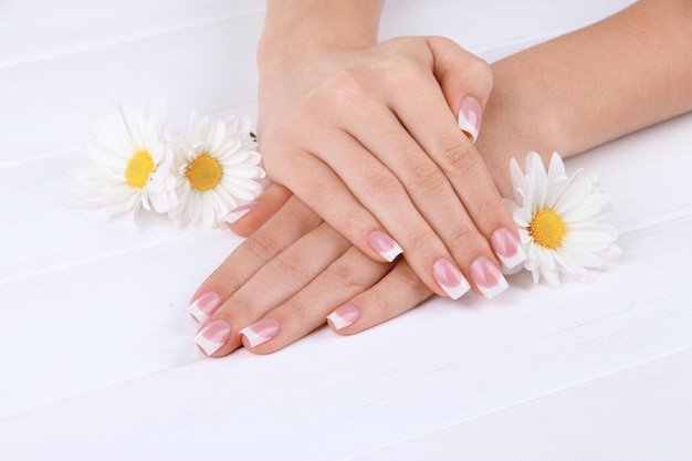 Woman hands with french manicure and flowers on white wooden background