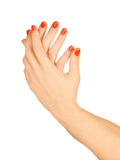 Woman hands with painted nails on a white background