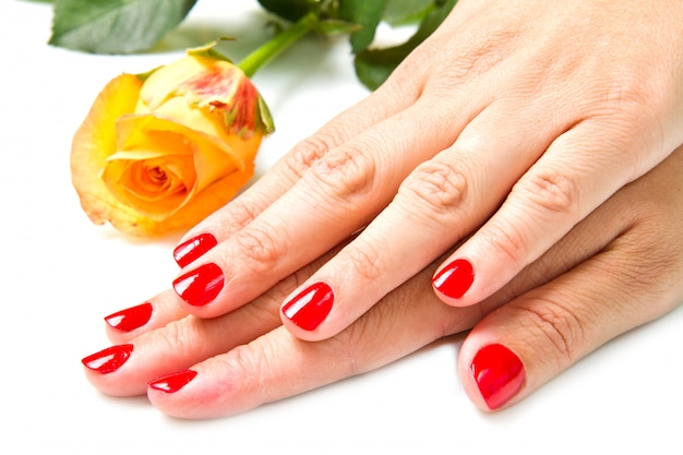 Woman hands with red manicure and rose