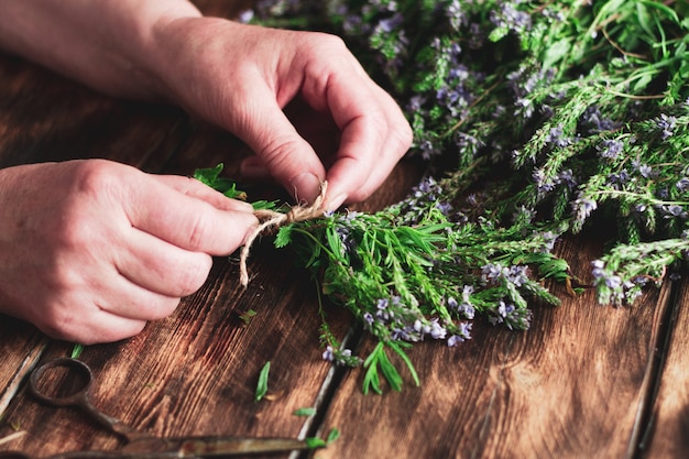 Woman harvests herbs in the winter for tea