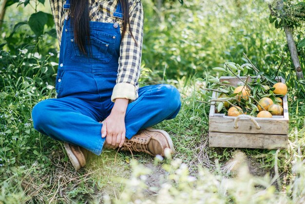 woman havesting Orange plantation