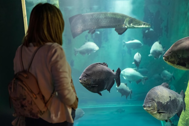 Woman on her back looking at the big fish swimming in the huge artificial aquarium