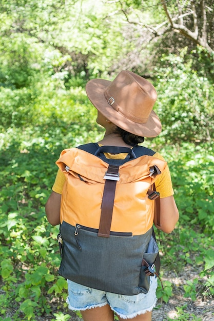 Woman hiker Attractive young woman with backpack hiking in green forests in autumn day