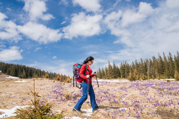 Foto una donna escursionista si diverte con la fioritura dello zafferano nei carpazi all'inizio della primavera durante il viaggio