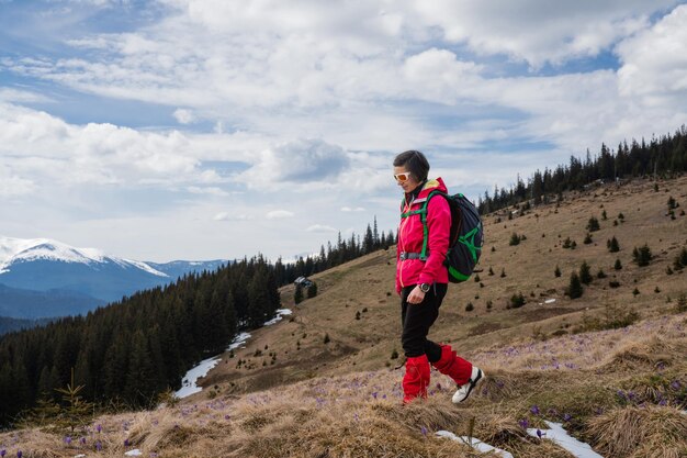 カルパチア山脈で花がくサフランを楽しむ女性ハイカー