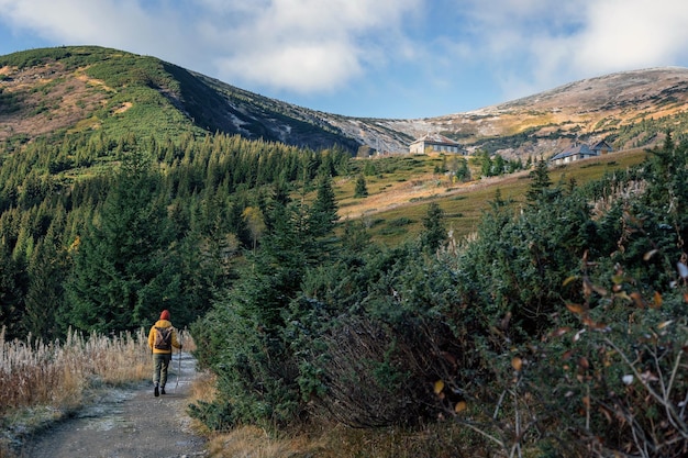 Woman hiker in yellow jacket with backpack hiking green forest
and mountains at sunny autumn day