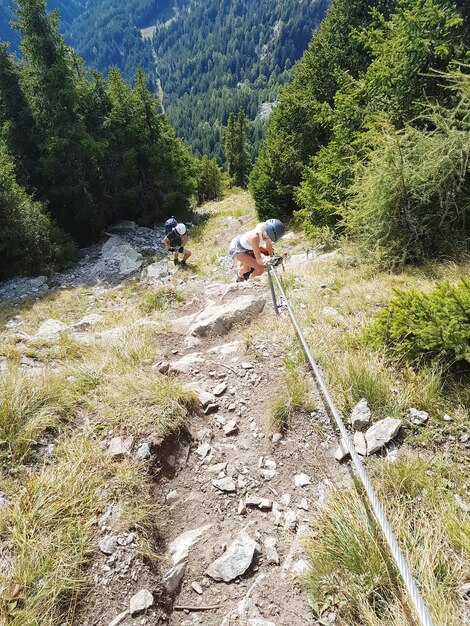 Foto donna che fa un'escursione nella foresta