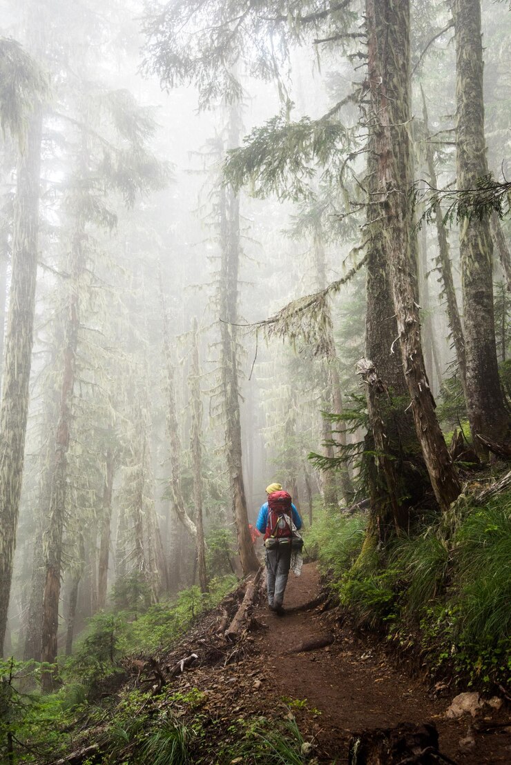 Photo woman hiking in forest