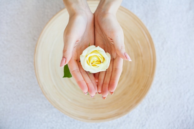 Woman Hold Beautiful Flower in Her Hands