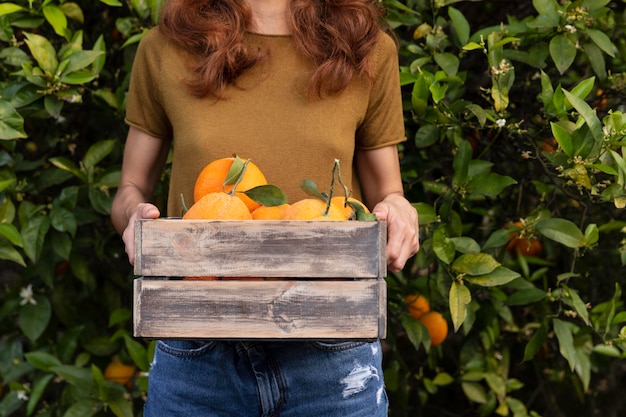 写真 オレンジの入った箱を手に持つ女性