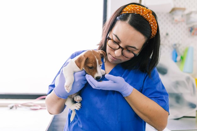 写真 犬を抱いた女性