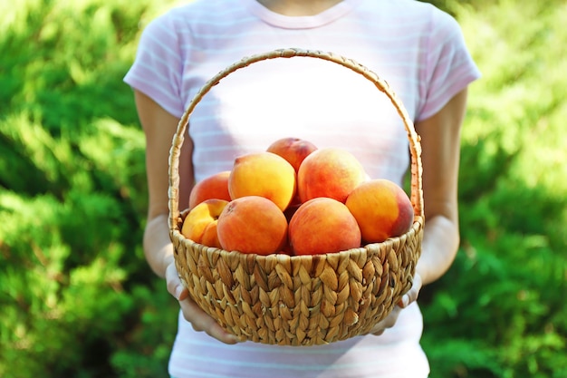 Woman holding basket of fresh peaches