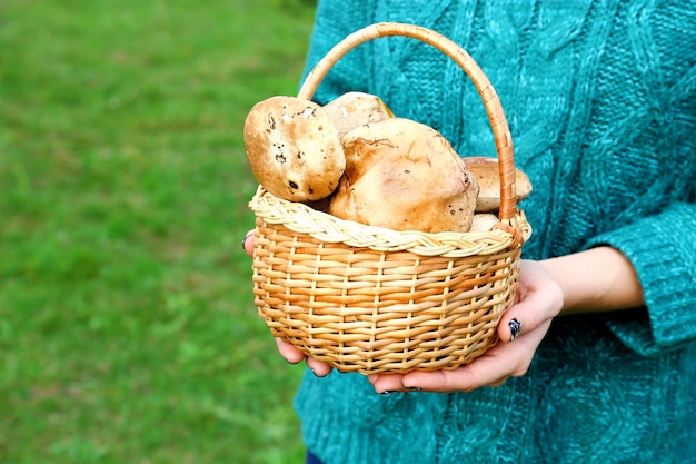 Woman holding basket of mushrooms