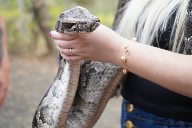 Woman holding a big snake on her arms and hands