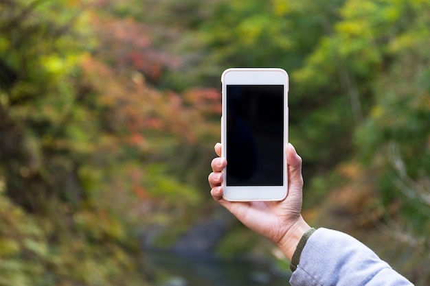 森で携帯電話の空白の画面を保持している女性