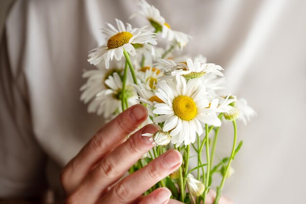 彼女の手で白いカモミールの花の束を保持している女性