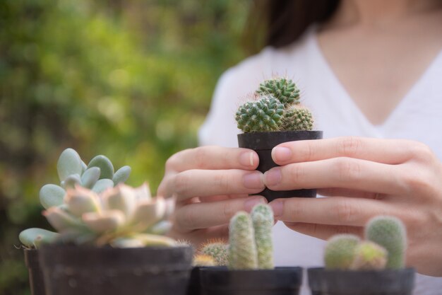 Woman holding cactus in garden at home