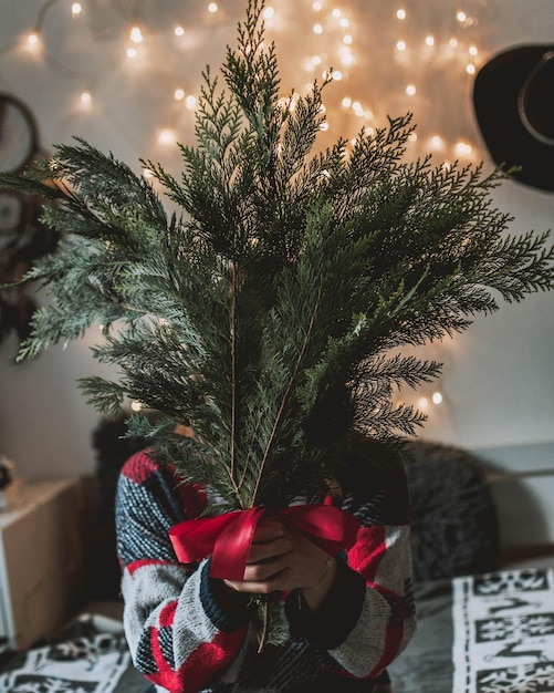 Foto donna che tiene l'albero di natale foto