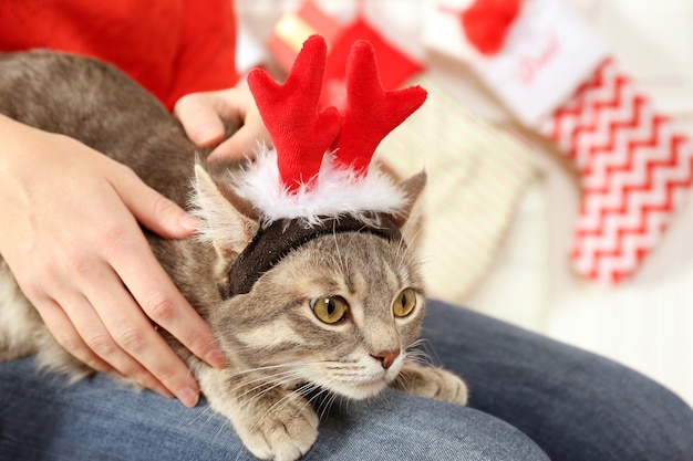 Woman holding cute cat with Christmas reindeer antlers