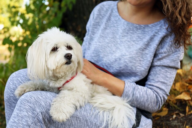 Woman holding cute dog, closeup