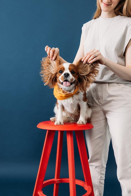 Woman holding ears of her dog in studio