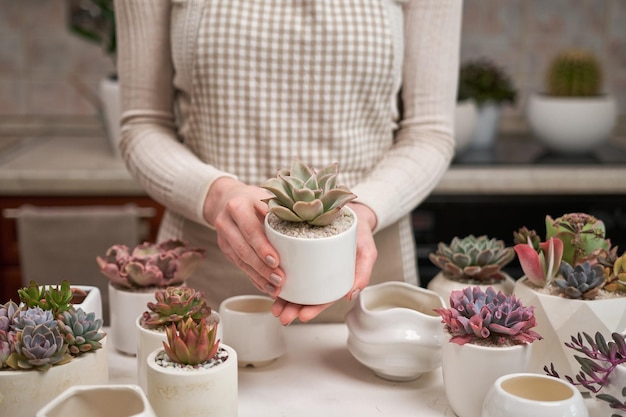 写真 鉢にエケベリア多肉植物観葉植物を持つ女性