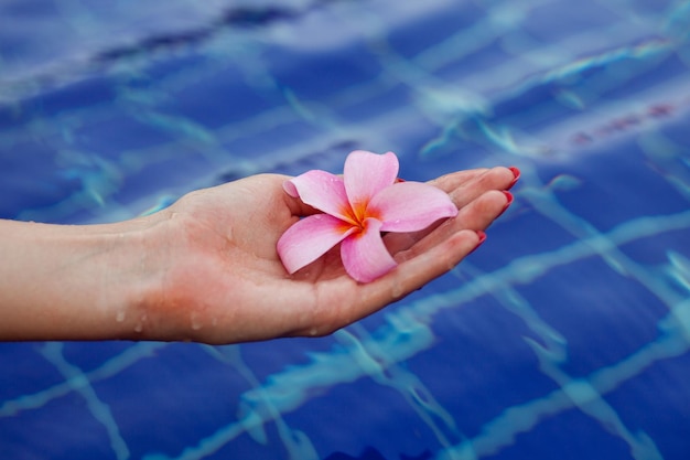Foto donna che tiene un fiore di plumeria con le mani sull'acqua