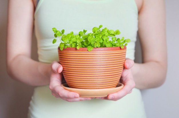 Woman holding flowerpot with sprouts in her hands