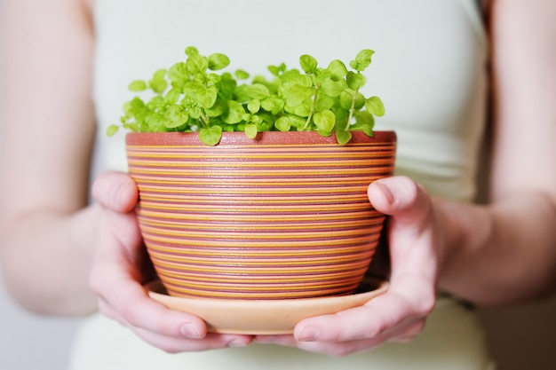 Woman holding flowerpot with sprouts in her hands