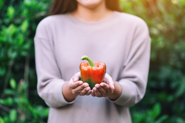 A woman holding a fresh bell pepper in hand