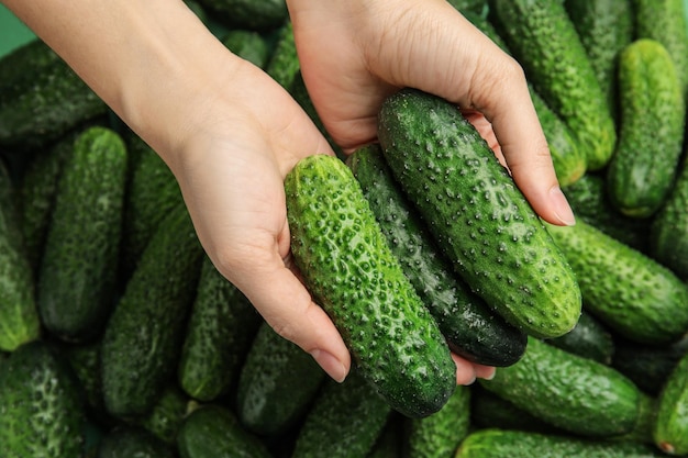 Woman holding fresh green cucumbers top view