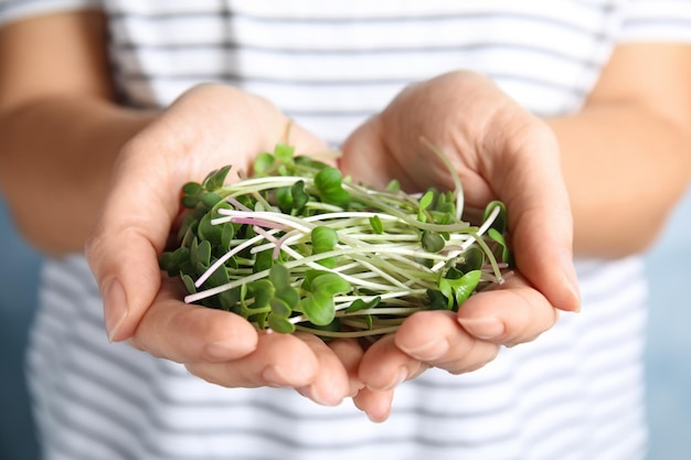 Woman holding fresh organic microgreens closeup view