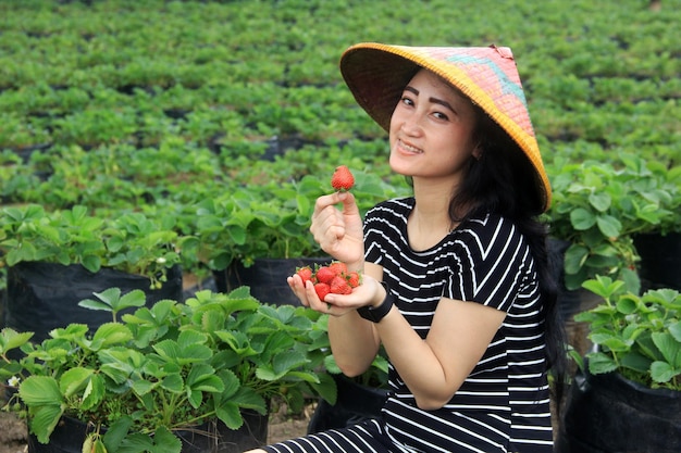 woman holding fresh strawberries in strawberry garden