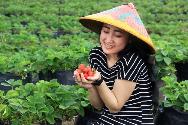 woman holding fresh strawberries in strawberry garden