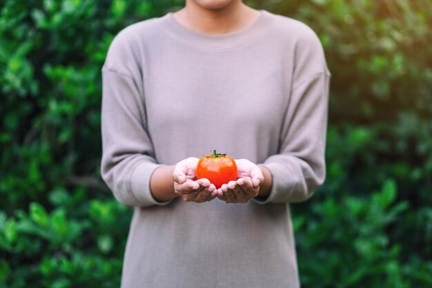 A woman holding a fresh tomato in hands