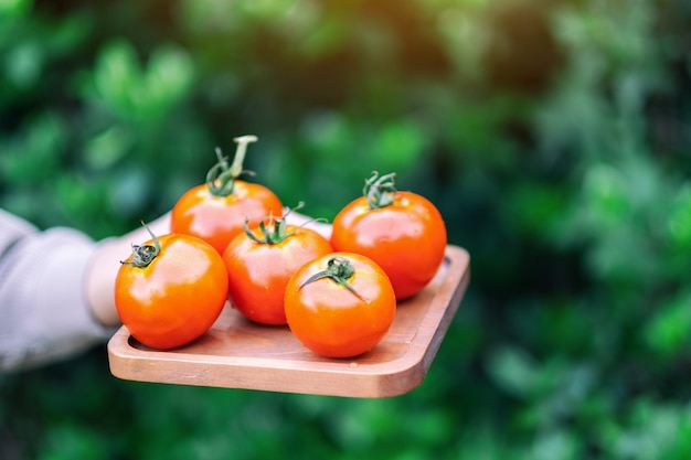 A woman holding a fresh tomatoes in a wooden tray