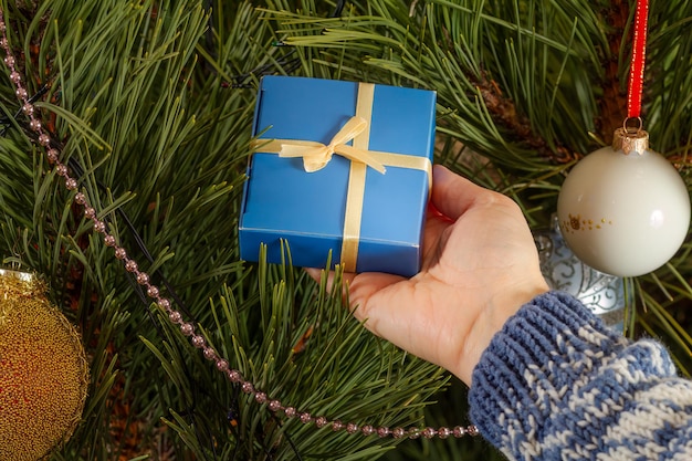 Woman holding the gift box in the hands beside Christmas tree